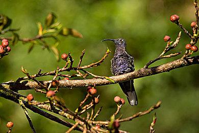 暗黑破坏神4法师技能加点攻略，暗黑4法师技能搭配推荐